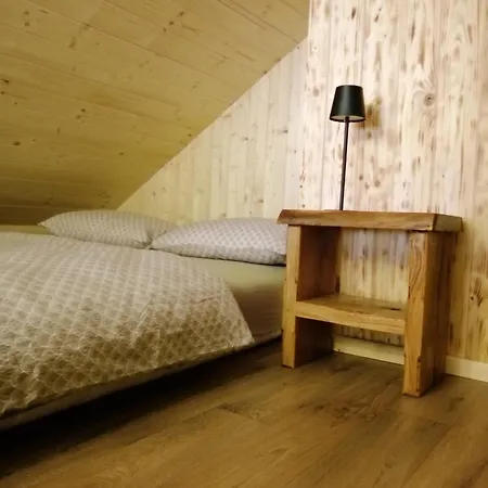 Hisa Pod Rogatcem - Appartement Luče